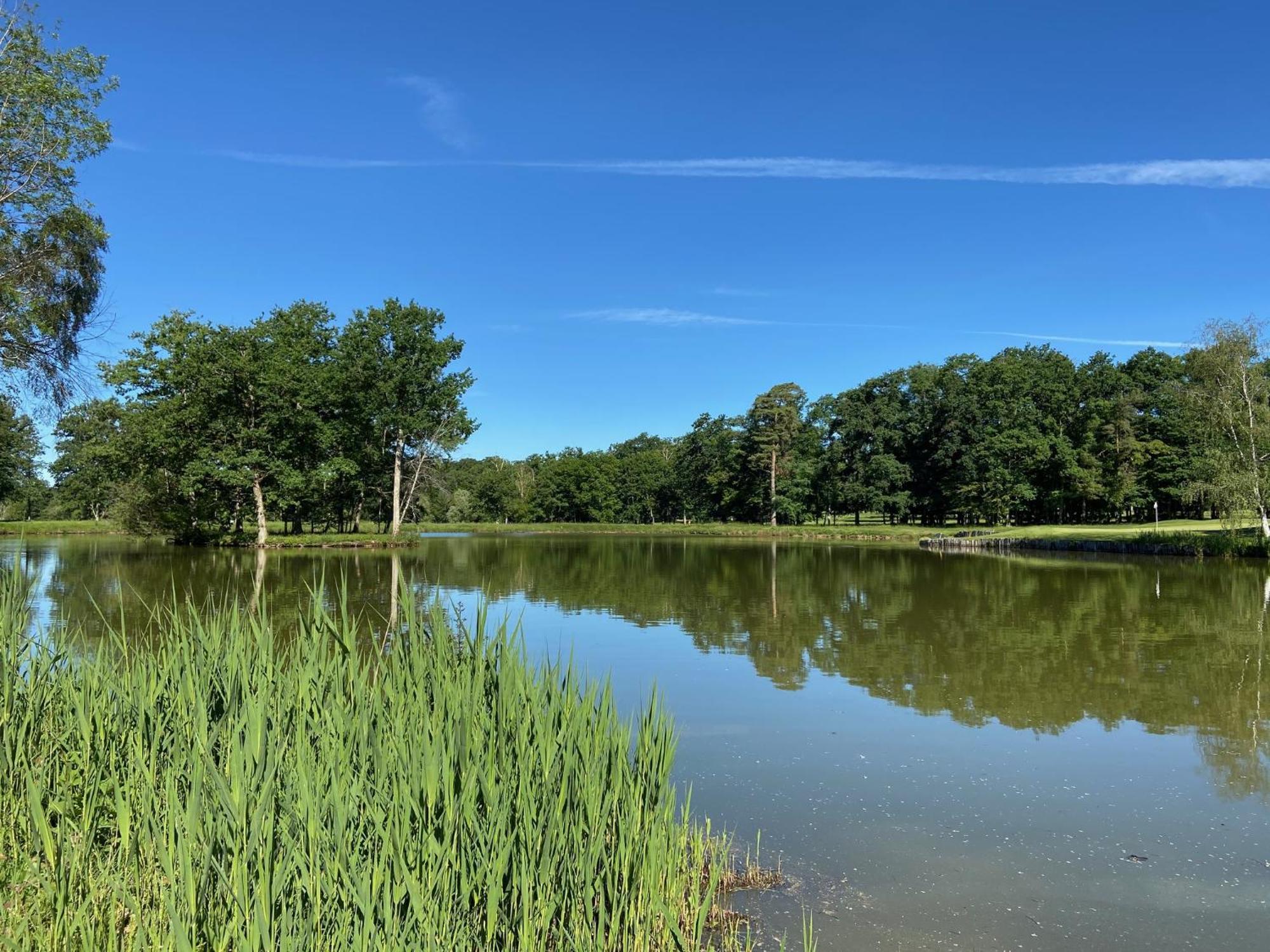 Domaine Du Roncemay - Hotel, Restaurants, Spa & Golf Aillant-sur-Tholon Bagian luar foto